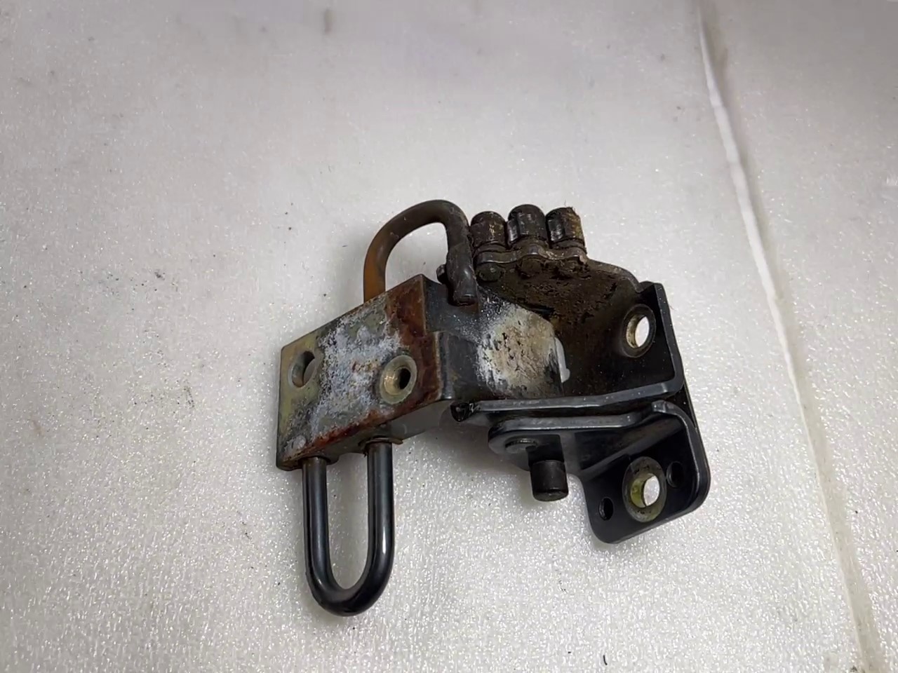 2022-05-31 170053.jpg